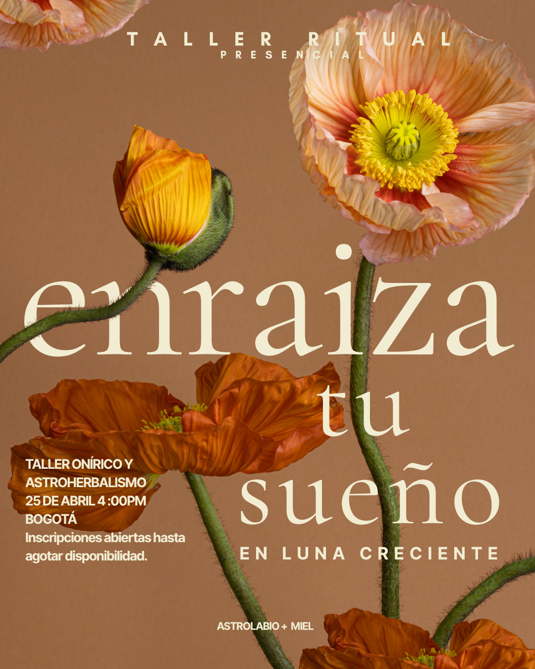 ENRAIZA TU SUEÑO .png
